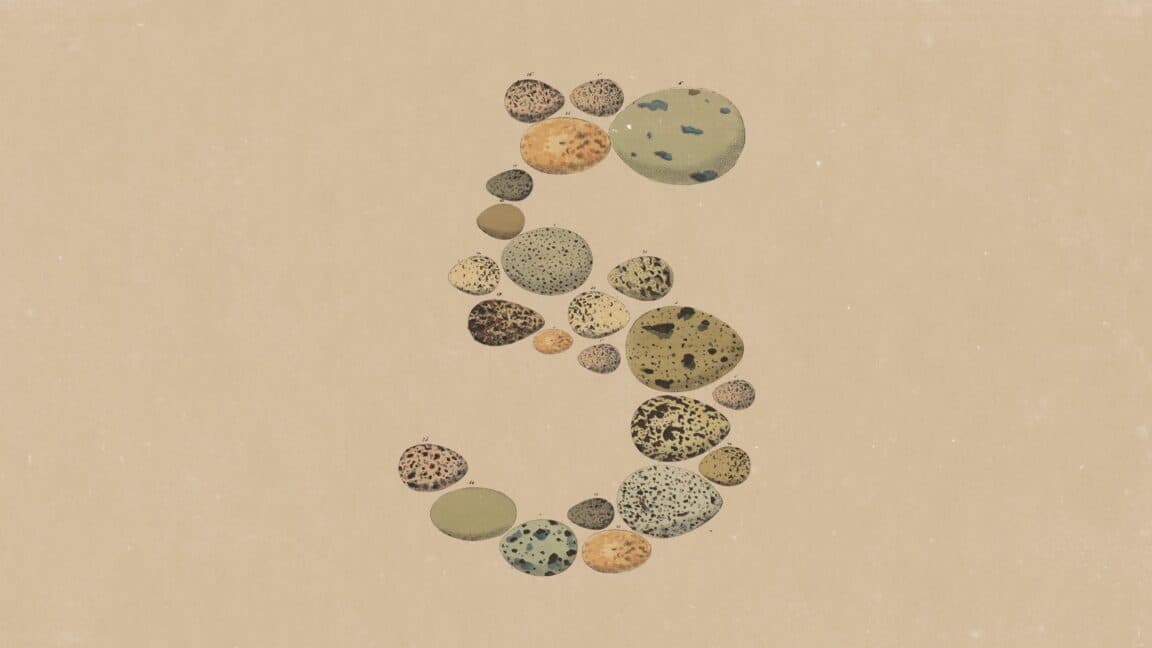 Opus 5 dari Anthropic: Cuan atau Cuma Gimmick?