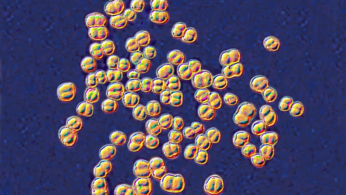 Kejadian Aneh di Lab: 32 Orang Terpaksa Minum Antibiotik!