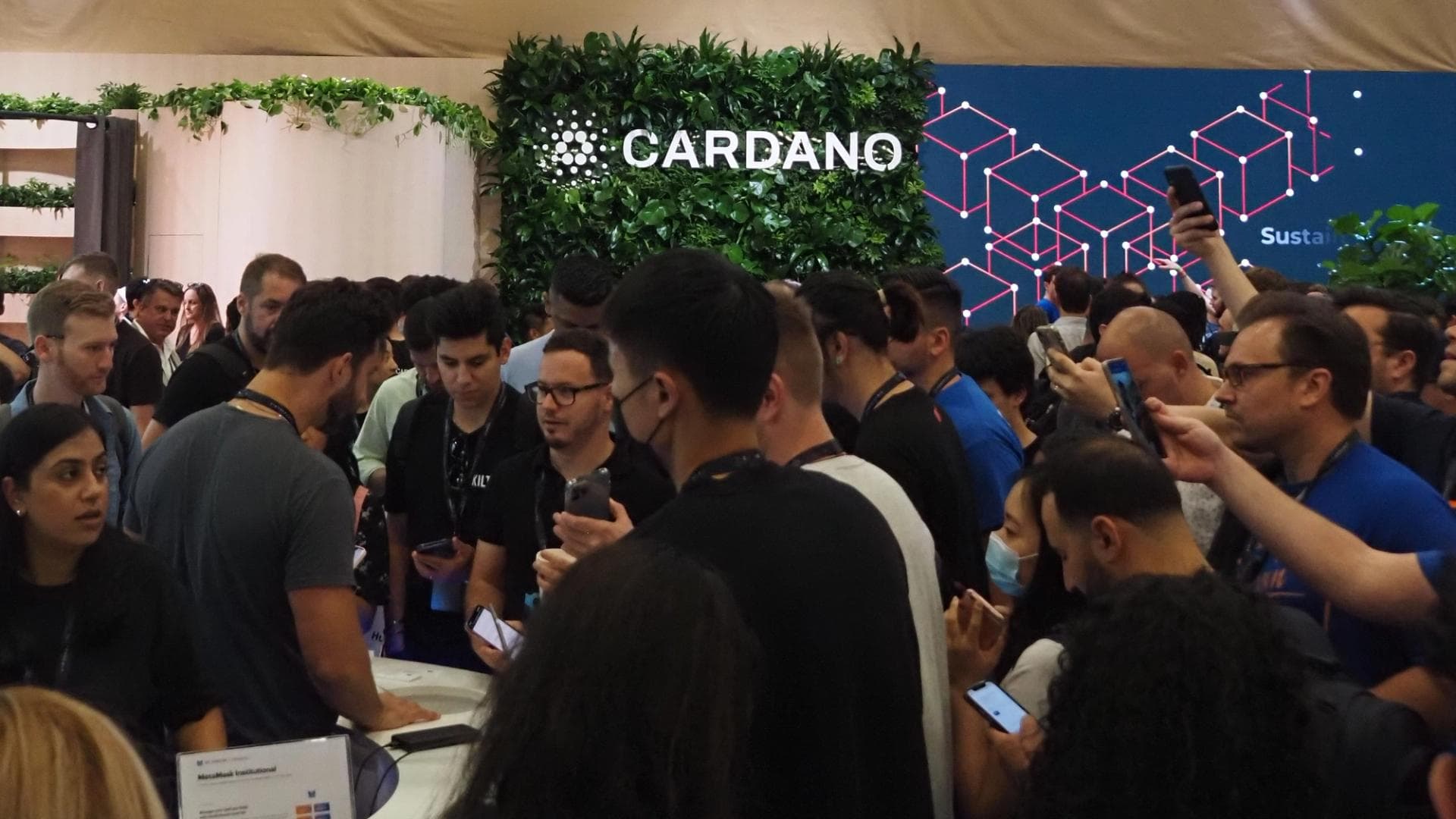 Hard Fork Van Rossum Cardano: Apa Artinya Buat Kamu?